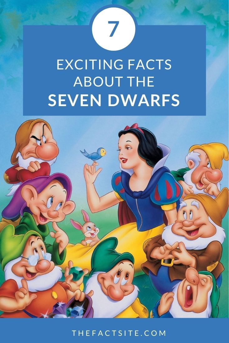 7 Exciting Facts About The Seven Dwarfs