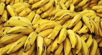 Brilliant Banana Facts