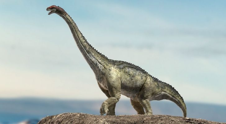 Brontosaurus' lived long
