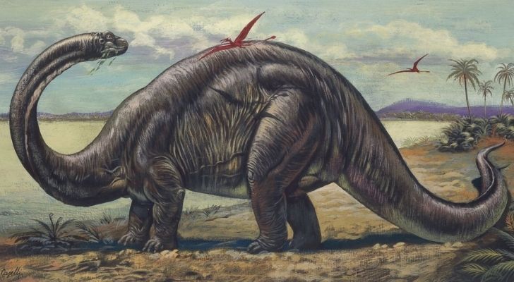 Brontosaurus was discovered in 1879