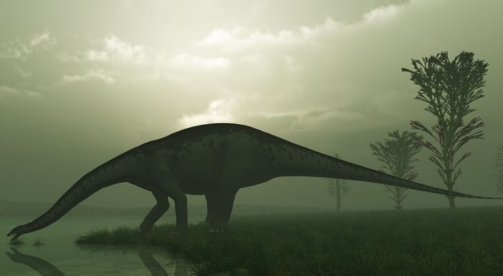 The Brontosaurus was not an Apatosaurus