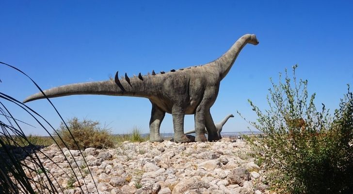The Brontosaurus was a Sauropod