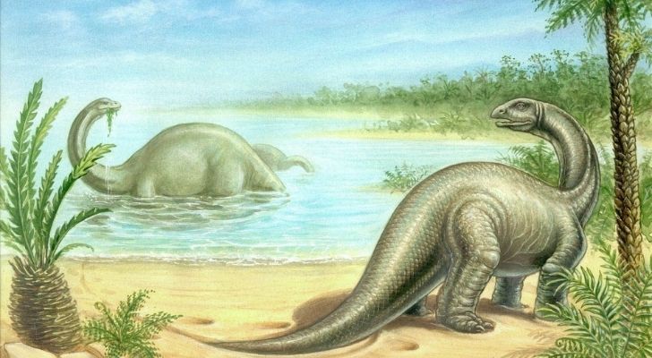 The Brontosaurus is also known as a thunder lizard