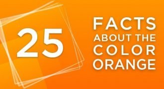 25 Facts About the Color Orange