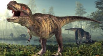 Facts about the tyrannosaurus dinosaur