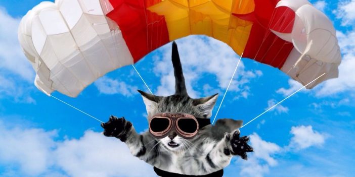 How the RAF fought malaria by parachuting cats