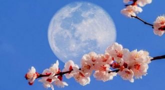 What is the Flower Moon?