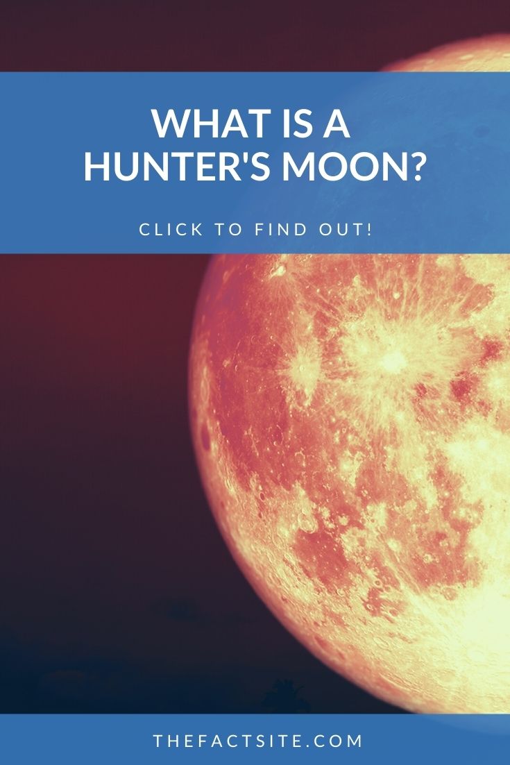 What Is A Hunter's Moon?