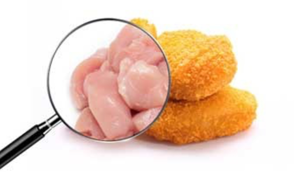 magnifying glass raw breaded chicken