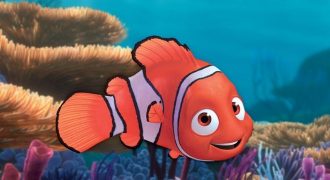 Facts all about Nemo