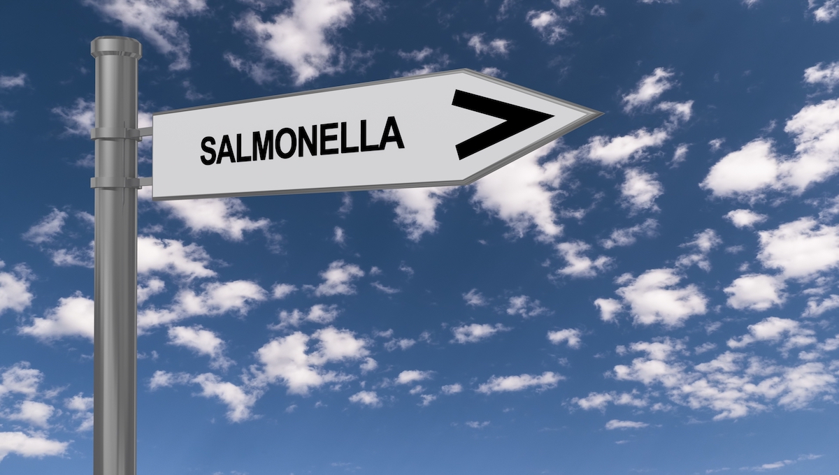 Salmonella Sign