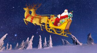 Facts about Santa's reindeer's