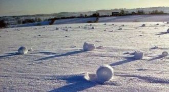Giant Self Rollin Snowball