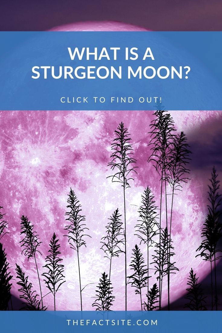 What Is A Sturgeon Moon?