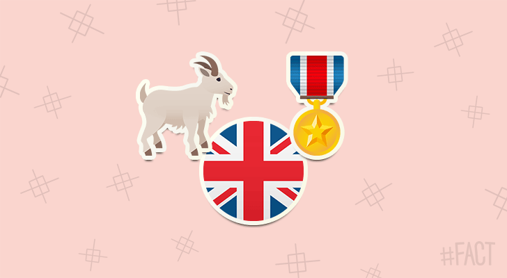 A goat called William Windsor served as a Lance Corporal in the British Army.